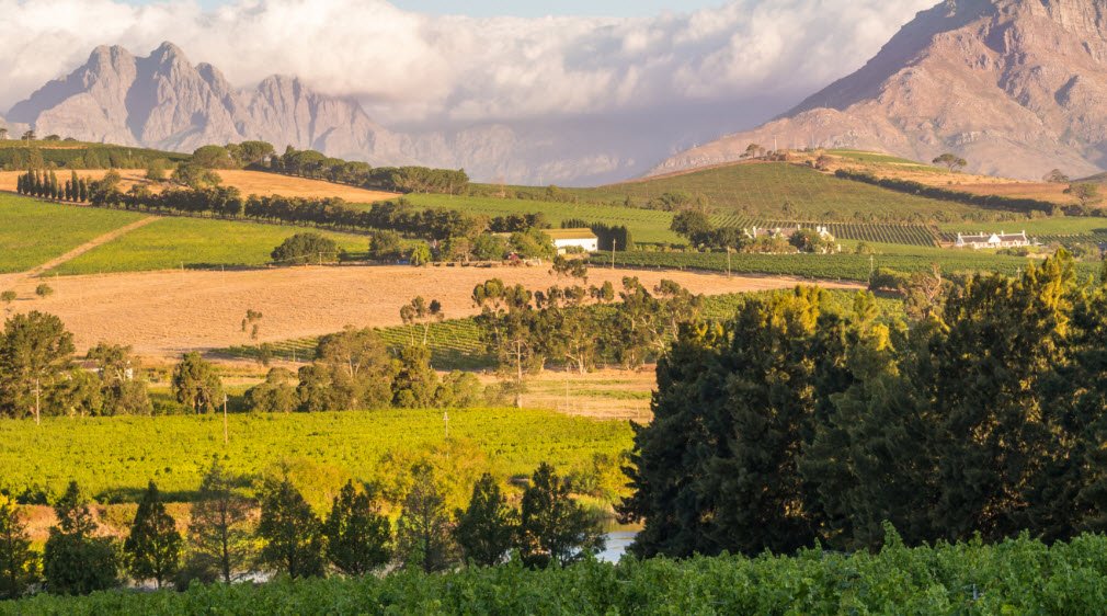 Stellenbosch Wine Route